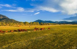 County Rd 554, Gardner, CO 81040