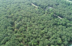 000 East Parker Road, Plumerville, AR 72127