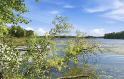 Sugar Bay Road lot: 2, Chetek, WI 54728