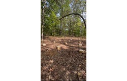 7 CR 4180, Salem, MO 65560