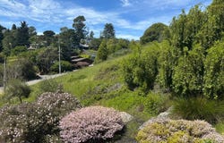 Loring Avenue, Mill Valley, CA 94941