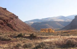 30 CROWHEART LANE, Dubois, WY 82513