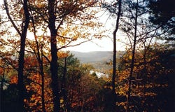 20 Lakeview  LN, Holiday Island, AR 72631