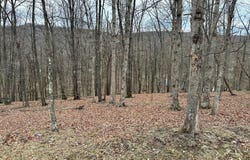 TIMBERLAKE ESTATES - LOT 37, NEW CREEK, WV 26743