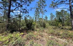 3974 NW Joy Lane, Altha, FL 32421