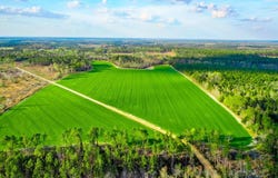Beaufort Rd. & Warnock Rd., Alma, GA 31510