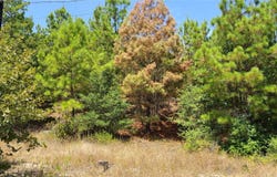 Tbd Tall Forest DR, Bastrop, TX 78602
