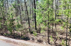 Hendaya Way, Hot Springs Village, AR 71909