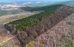 Broomfield Road, Waldron, AR 72958