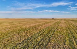 TBD County Road 31, Otis, CO 80743