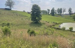 Tract 17A Billy Herold Johnson Subdivision, Albany, KY 42602