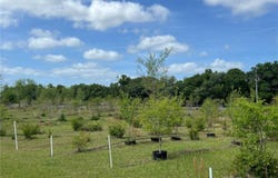 300 E HIGHWAY 316, CITRA, FL 32113