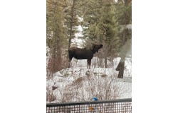31 Basin Creek Rd, Boulder, MT 59631