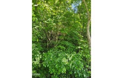 3.35 Oakwood Road, Midway, TN 37809