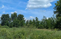 Crosby Road, Turner, MI 48765