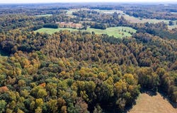 3001 Headen Country Trail, Staley, NC 27355