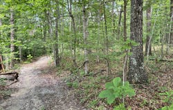 E Loomis Rd, Jamestown, TN 38556