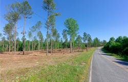 Carson Road, Cleveland, NC 27013