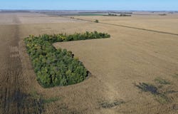 Land Auction Section 19-137-51, Davenport, ND 58021
