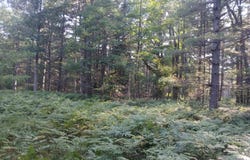 V/L Lorenz Road, Tawas City, MI 48763