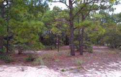 2327 False Cape Road lot: #14, Corolla, NC 27927