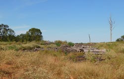 Jackie Byrd Road, Plain Dealing, LA 71064