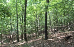 Country Club Drive, Theodosia, MO 65761