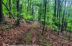 Iris Lane, Peterstown, WV 24963