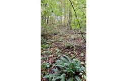 Cross Creek Circle, Sylva, NC 28779