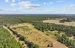 PID 18533 CR 4035, Lovelady, TX 75851