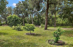 ALLEN STREET, MOUNT DORA, FL 32757