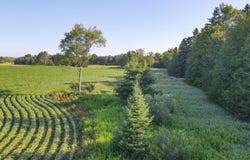 7942 ELM Road, SURING, WI 54174