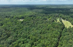 00 PIKE AVENUE, PHIL CAMPBELL, AL 35581
