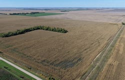 Land Auction Section 19-137-51, Davenport, ND 58021