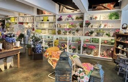 337 E Main Street, Murfreesboro, NC 27855