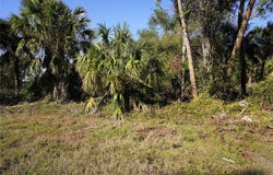 16150 ARCARO Avenue, PORT CHARLOTTE, FL 33954