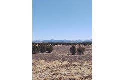 182 Show Low Pines, Concho, AZ 85924