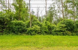 Filkins Road, Arcadia, NY 14513