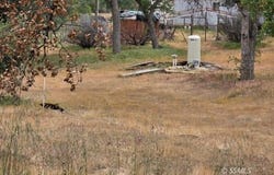 22485 Thompson Canyon AVE, Caliente, CA 93518