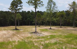 0 Steed Creek Rd, Huger, SC 29450