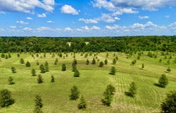 0014 Windermere Boulevard, Madison, MS 39110