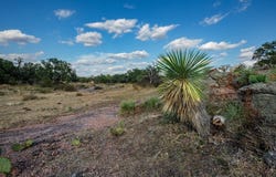 Fredonia, TX 76842