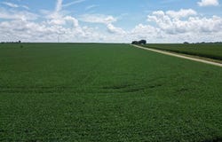0 300 N Avenue, Bradford, IL 61421