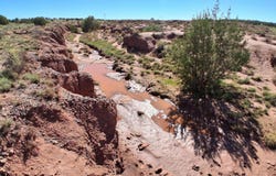 236 N9233 SE, Concho, AZ 85924
