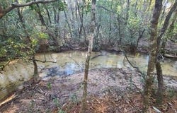 4 Ac Seven Oaks Road, DeFuniak Springs, FL 32433
