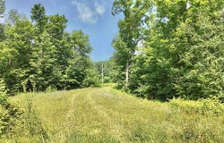 3.38 Acres County F Road, Antigo, WI 54409