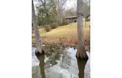 140 BEECHWOOD, MANY, LA 71449