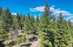 2263 Truman Heights, Kila, MT 59920