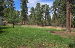 8229 Green Lane, Rye, CO 81069