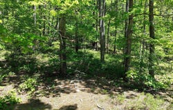TBD (Lot 5) Heather Lane, Mena, AR 71953